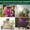 A collage of four images showing a woman tending to plants under a grow light, plants on a shelf, plants on a cabinet, and plants in a room with a grow light. Produktbild-Vorschau