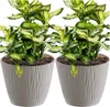 2x Blumentopf Pflanzentopf Übertopf Mit Untersetzer Rund Produktbild-Vorschau 1