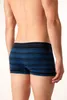 Fabio Farini - 8 Stück Herren Retroshorts -  Mehrpack aus Produktbild-Vorschau 5