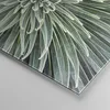 Bilder auf glas - Einteilig - Agave Grün Pflanze - 100x70cm Produktbild-Vorschau 5