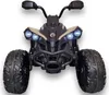 FINOOS Kinderquad Kinder Elektro-Quad, CAM-AM RENEGADE 24V Produktbild-Vorschau 2