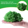 Islandmoos, Moos in 6 versch 240g für Moosbilder, Produktbild-Vorschau 2