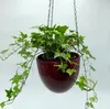 A hanging plant in a red ceramic pot against a white background. Produktbild-Vorschau
