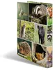 Raccoglitore ad anelli HERMA A4 in cartone 2D animali della Anteprima dell’immagine prodotto 16
