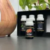 Esenciální olej - sada 6 ks. 10ml Ruhhy 21939 Náhled obrázku produktu 16