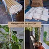 50 Pali Ovali in Legno di Faggio Ø18 mm x 78 cm – Picchetti Anteprima dell’immagine prodotto 2
