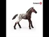 Schleich 13862 Appalooské hříbě Náhled obrázku produktu 2