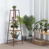 A multi-tiered wooden plant stand with several potted plants on it, placed indoors next to a table with more plants.