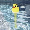 HI Pool Solar - Termometro 'Anatra' Anteprima dell’immagine prodotto 2