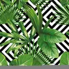 Coloray Fototapete 208x146 cm Vlies-Fototapete - Produktbild-Vorschau 2