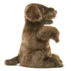 Folkmanis Sitting, Handpuppe, Tier, 1 Stück(e) Produktbild-Vorschau 7