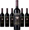 Ricossa Barbera DOC Appassimento 6 x 0,75 Ltr  JG: 2022 Produktbild-Vorschau 5