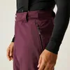 Dare2b Achieve Ii Pants Purple M / Regular Men Purple M Podgląd zdjęcia produktu 6
