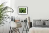 MuchoWow® MuchoWow® Gerahmtes Poster Tukan im Baum 40x30 cm Produktbild-Vorschau 7