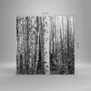Bild auf Leinwand - Leinwandbild - Einteilig - Birken Wald Produktbild-Vorschau 3