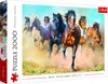 Puzzle TREFL Cavalli al galoppo 2000 pezzi Anteprima dell’immagine prodotto 1