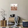 Poster - Poster ohne Rahmen - Zuckerrohr Wiese Boho - 40x40 Produktbild-Vorschau 6