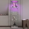 A display cabinet with LED lighting showcasing various figurines and books. Náhled obrázku produktu