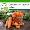 SAFLAX - BIO - mrkev - podzimní král - Daucus carota subsp. Náhled obrázku produktu 10