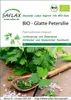 SAFLAX - BIO - Plochá petržel - Petroselinum crispum - 600 Náhled obrázku produktu 11
