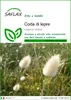 SAFLAX  - Coda di lepre - 100 semi - Lagurus Anteprima dell’immagine prodotto 1