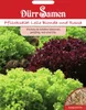 Pflücksalat Lollo Bionda und Rossa | Salatsamen von Dürr Produktbild-Vorschau 4