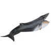 Maquette d'animal marin,Simulation de maquette d'animal Voir les images du produit 1