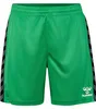 Hummel Authentic PL Shorts Kinder, grün, 140 Produktbild-Vorschau 6