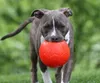 Jolly Soccer Ball Hundespielzeug für große Hunde 20cm Produktbild-Vorschau 15