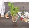 Hydrogel Soil for Flowers Gélové guličky 25 000 ks Náhľad obrázku produktu 7