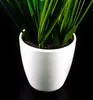 Erba decorativa in vaso - circa 36 cm - 1 pezzo Anteprima dell’immagine prodotto 5