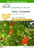 SAFLAX - Zwerg - Granatapfel - Punica granatum nana - 50 Produktbild-Vorschau 1