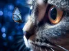 CALVENDO Puzzle Ein Motiv aus dem Kalender Die Katze und Produktbild-Vorschau 3