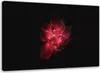 Leinwandbild nachtblume 120x80 cm Feeby rosa wandbild Produktbild-Vorschau 1
