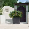 LECHUZA Pot de fleurs CUBE Cottage 50 Granit | Pot de Voir les images du produit 29