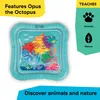 Baby Einstein - Ocean Explorers Sensory Splash, tappetino Anteprima dell’immagine prodotto 20