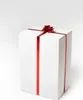 A white gift box with a red ribbon and bow, set against a plain white background. Voir les images du produit