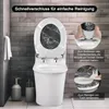A toilet with its lid open, showing how to remove and clean it, with text instructions. Produktbild-Vorschau