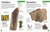 Fossilien Produktbild-Vorschau 6