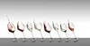 A series of wine glasses with red and white wine splashing out of them, arranged in a line against a gradient background. Náhľad obrázku produktu