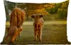 MuchoWow® Outdoor Kissen - Schottisches Hochlandrind - Kalb Produktbild-Vorschau 1