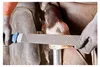 PFERD TOOLS 13180351 Hoof rasp Length 350 mm 1 pc(s) Anteprima dell’immagine prodotto 5