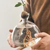 Klare Glasvase für Avocados, Sprossen-Hydroponik-Sets, als Produktbild-Vorschau 2