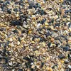 5 kg Vogelfutter, Premium-Mix für 4 Jahreszeiten, für Produktbild-Vorschau 2