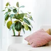 Relaxdays Sfere di irrigazione, set da 6, sfere di Anteprima dell’immagine prodotto 6