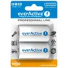 Everactive EVHRL20-10000, Nabíjateľná batéria, D, Náhľad obrázku produktu 1