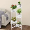 Eckpflanzenstand Indoor, 5-Tier hoher Produktbild-Vorschau 10