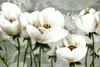 Muralo XXL Vlies FOTOTAPETE WEISSE Tulpen Malerei Produktbild-Vorschau 2