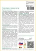 SAFLAX - Pravá myrta / nevesta myrta - Myrtus communis - 30 Náhľad obrázku produktu 3