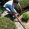 Bordure de pelouse VINGO Bordure de parterre en métal 18cm Voir les images du produit 5
